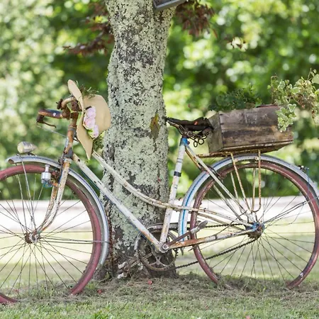 Le Repere Du Forestier * Sabres