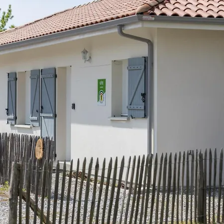 Le Repere Du Forestier * Sabres