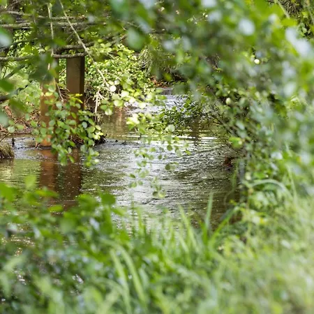 Prázdninový dům Le Repere Du Forestier *