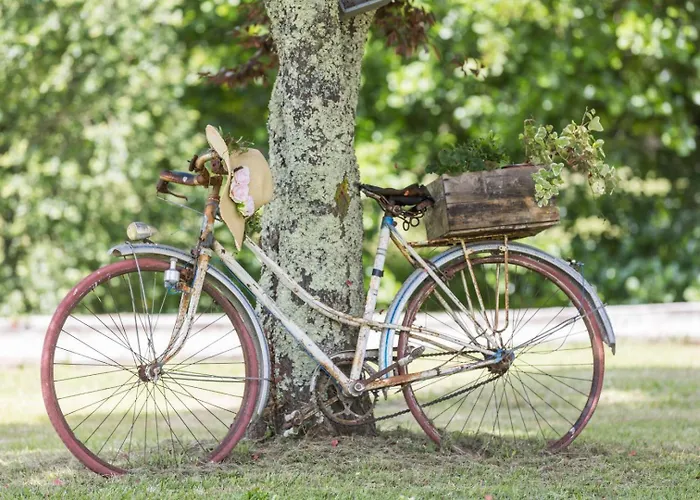 Le Repere Du Forestier * Sabres