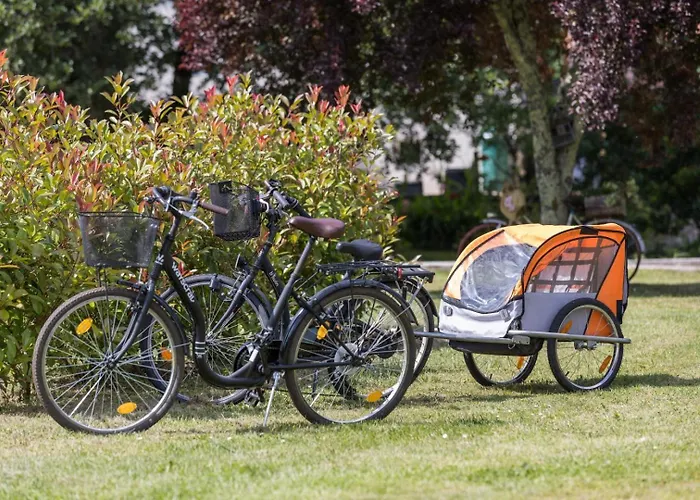 Le Repere Du Forestier