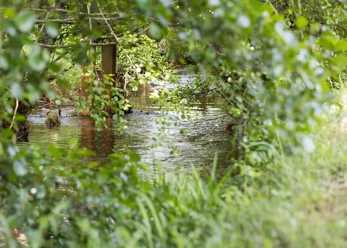 בית נופש Le Repere Du Forestier *
